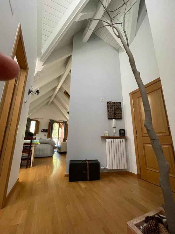Apartamento Pico De Alba Benasque Buitenkant foto